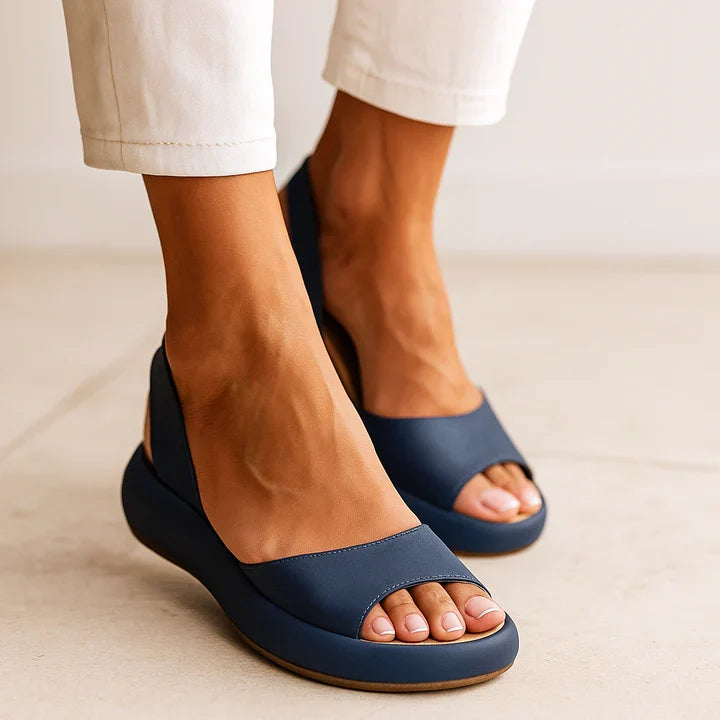 Blauw / 43